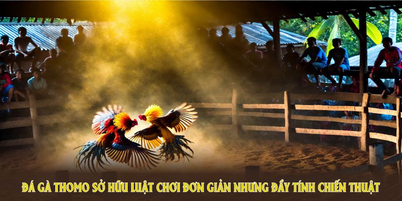 Đá Gà Thomo sở hữu luật chơi đơn giản nhưng đầy tính chiến thuật